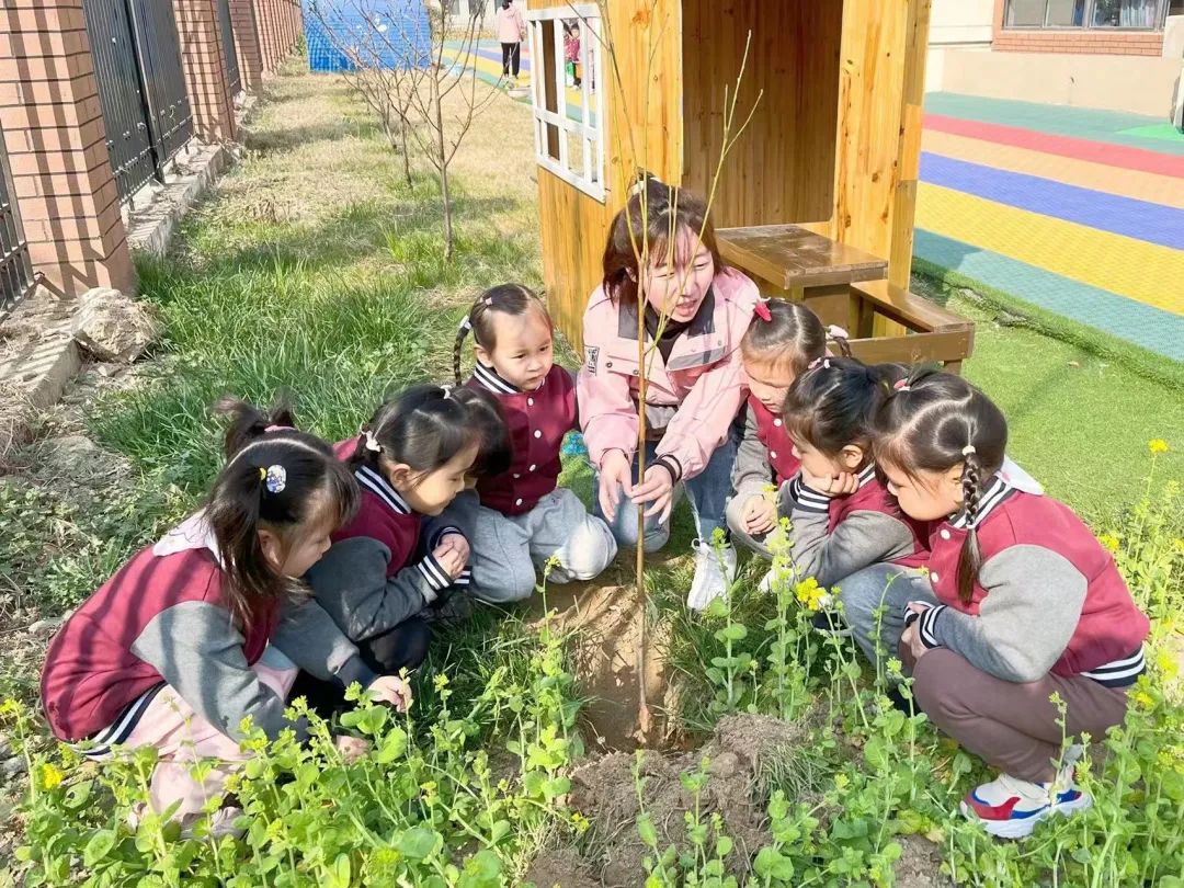 不負春光，“植”得期待|培文幼兒園植樹節活動